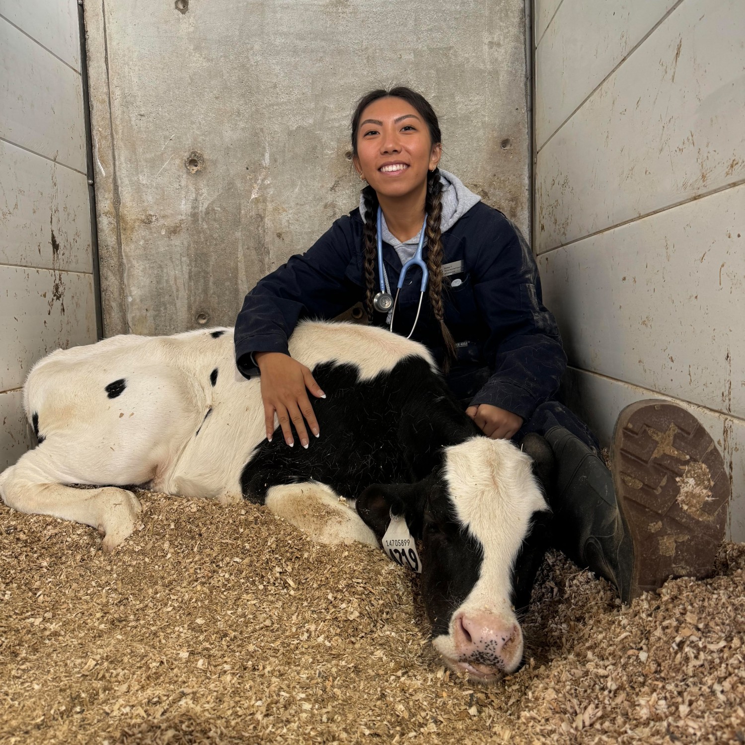 Gladys Tsui Gladys Tsui