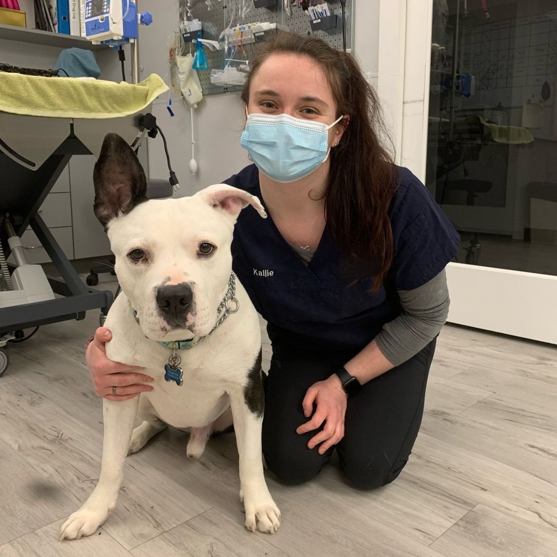 Kallie Pearson - Veterinary Office Assistant